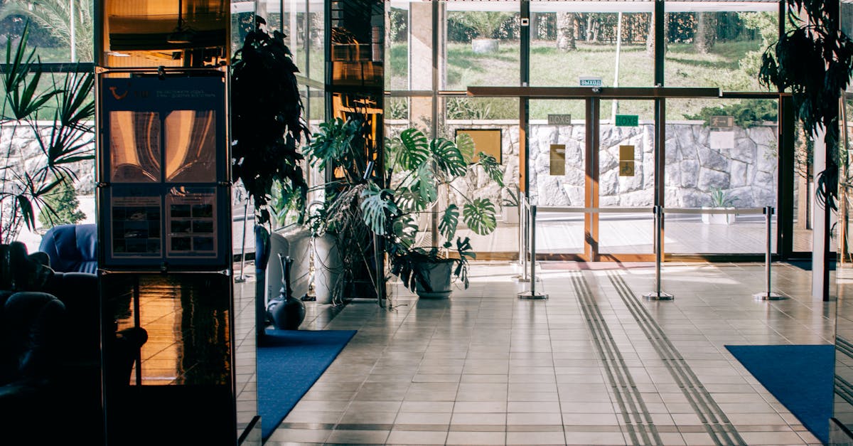 Things to do and places to visit in Matamata, Waikato